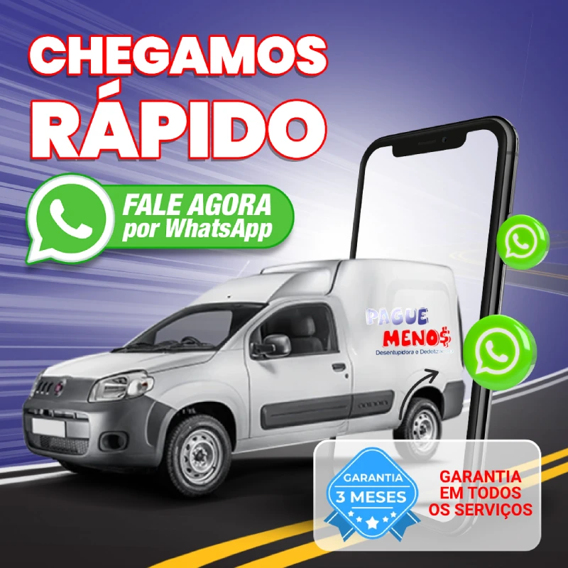 Dedetizadora em Goiânia – Controle de Pragas com Garantia